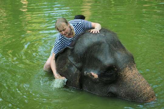 Lombok Wildlife Park Elephant Bath Experience, THB 1,383.52