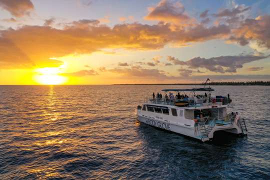 Dinner Cruise from Kona Coast to Kealakekua Bay