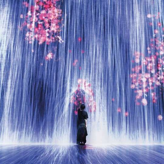 Superblue Miami Immersive Art Experience feat. teamLab