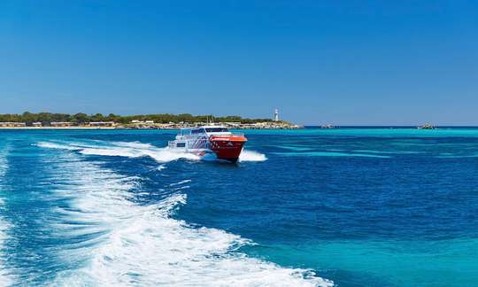 Rottnest Island Day Tour including Guided Bus Tour from Perth