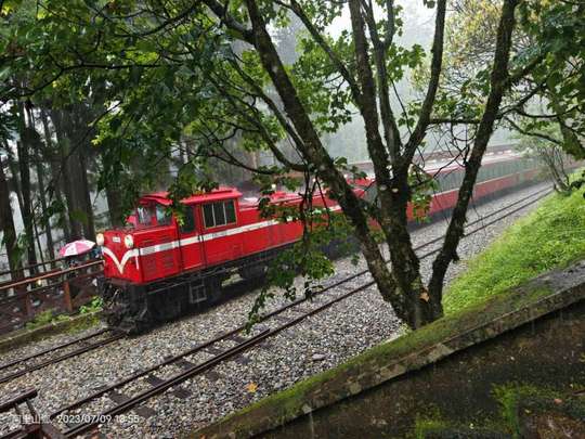 [1-Person Guaranteed Departure] Chiayi, Taiwan | Alishan One-Day Shared Transfer Tour | Fenqihu Old Street & Alishan | Guaranteed Departure | Exclusive Gift: Hinoki Donut | Departures from Taichung City, Chiayi, Tainan & Kaohsiung
