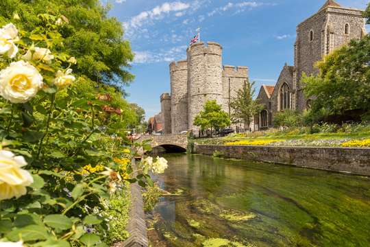 Leeds Castle, Canterbury, Dover, and Greenwich Tour from London, S$219