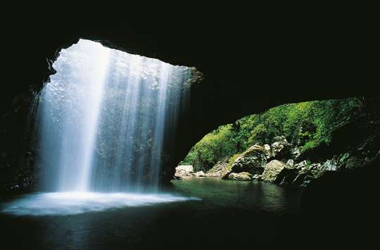Springbrook National Park Tour: Natural Bridge and Waterfalls