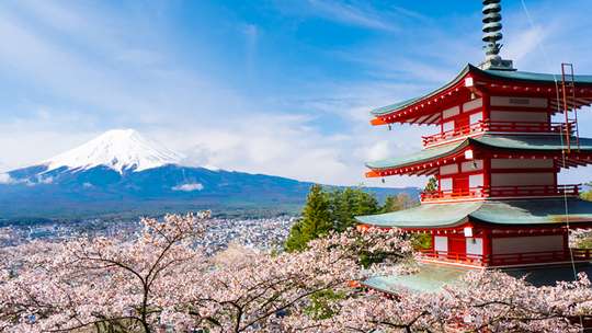 Mount Fuji Panoramic View and Shopping - Day Tour