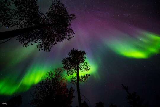 Northern Lights Photography Tour in Rovaniemi | Finland