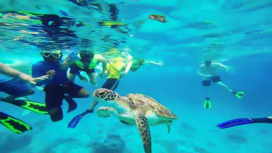 3D2N Island Hopping & The Natural Pool Cave - 10 Destinations