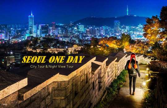 Day Tour｜Seoul City Tour and Night View Tour