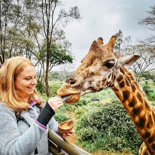 Nairobi: Guided Giraffe Centre Experience And Nature Trail Tour., RM 162