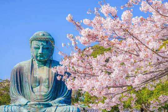 [Daily Tokyo Departure Kamakura & Enoshima Day Trip] Tsurugaoka Hachimangu Shrine, Komachi-dori Street, Kotoku-in Temple, Kamakura Great Buddha, Hase-dera Temple, Enoshima Island