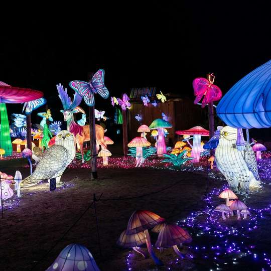 Kebun Binatang Amnéville: Tiket Jalur Cepat