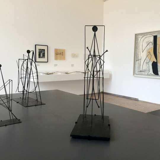 Musée national Picasso-Paris: Priority Entry Ticket