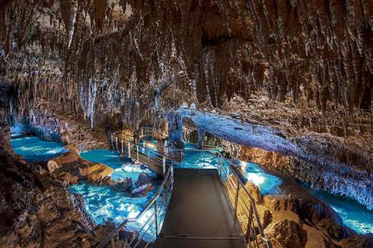 Okinawa World Pass, RM 49
