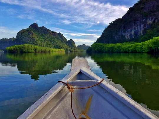 Private Classic Mangrove Boat Excursion