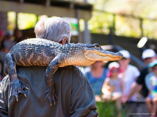 Australian Reptile Park Tickets, 925.000 VND