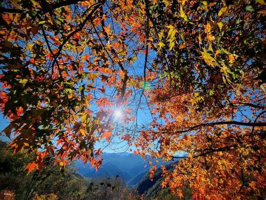 Hsinchu｜Shei-Pa Guanwu Forest Day Tour｜Depart from Taipei, Taoyuan, Hsinchu