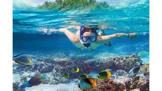 Nusa Penida Snorkeling Tour (Explore Bali's Underwater Paradise), THB 1,019.50
