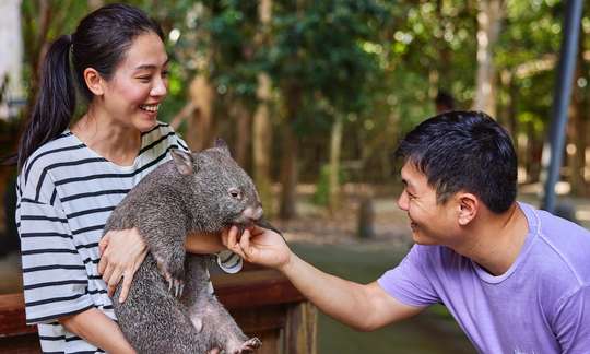 Hartleys Crocodile Adventures Entry & Croc Feeding Experience