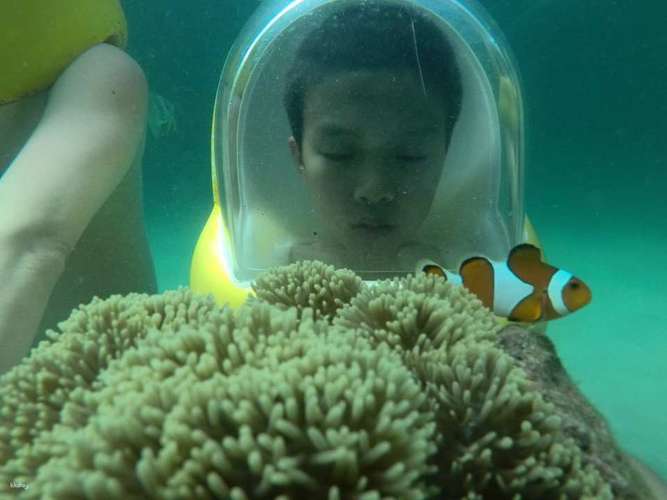 センポルナの水中写真サービス付きシーウォーキング体験 |サバ州 1
