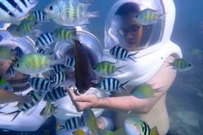 Sea-Walking Experience with Underwater Photography Service in Semporna | Sabah