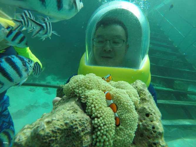 センポルナの水中写真サービス付きシーウォーキング体験 |サバ州 3
