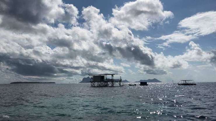 ประสบการณ์เดินทะเลพร้อมบริการถ่ายภาพใต้น้ำในเซมปอร์นา | ซาบาห์ 3