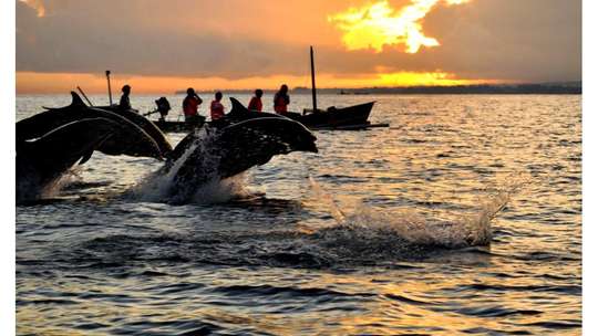 One Day Tur Lovina Bali by Tiket Penida
