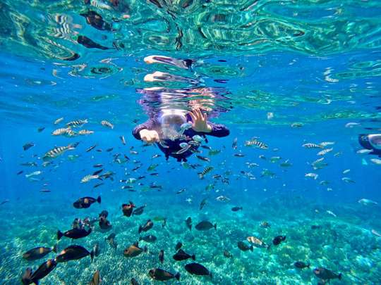 Nusa Lembongan & Nusa Penida 3 spots snorkeling with Mangrove & Nusa Lembongan Tour, 493.315 VND