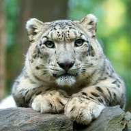 Central Park Zoo