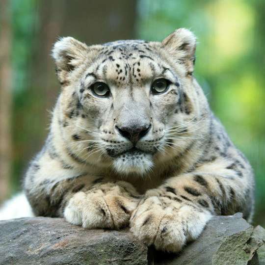 Central Park Zoo