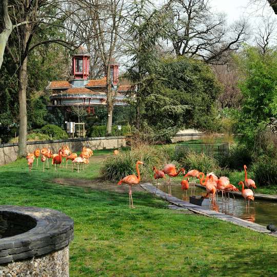 Ménagerie, Zoo of the Jardin des Plantes: Skip The Line