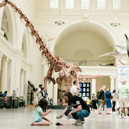 The Field Museum of Natural History: Entry Ticket