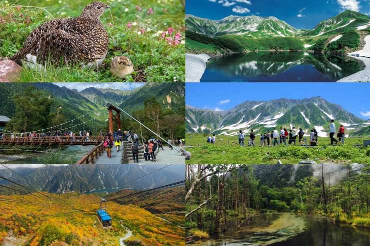 [ทัวร์ฤดูใบไม้ร่วง] ทัวร์ 2 วัน 1 คืน | เส้นทางหุบเขาทาเตยามะคุโรเบะ (Tateyama Kurobe Alpine Route) คามิโคจิ และทะเลสาบสุวะ | ญี่ปุ่น