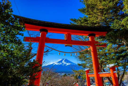 Scenic Spots of Mt Fuji & Lake Kawaguchi 1-Day Bus Tour with Lunch