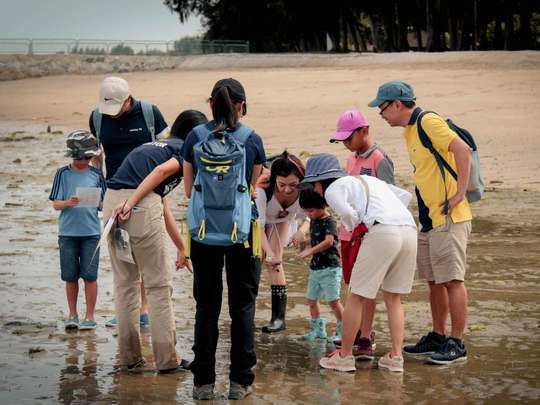 Young Nautilus Nature Walks: Unravelling Wildlife Mysteries