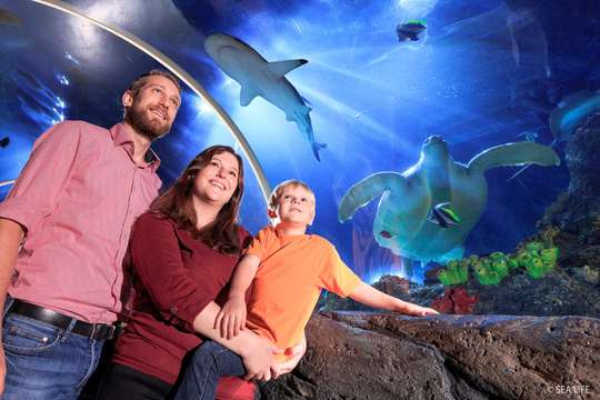 SEA LIFE Konstanz Aquarium Ticket, Rp 413.389