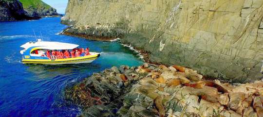 Bruny Island Cruise with Pick up from Kettering