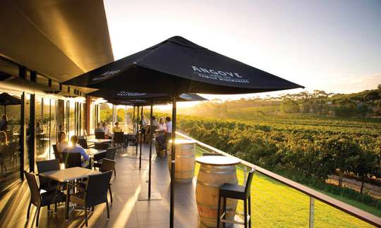 Northern McLaren Vale Region Hop-On-Off Wine Tour - City Return