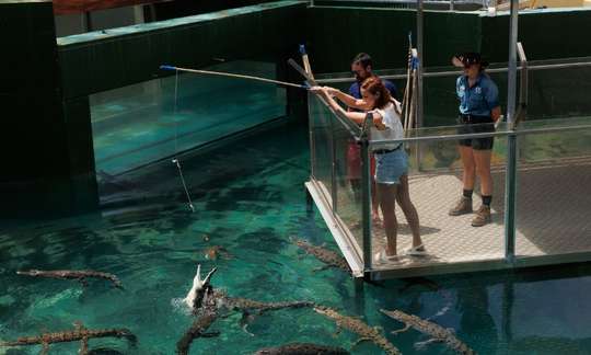 Crocosaurus Cove Darwin General Admission Tickets