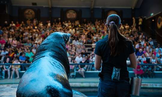 SEA LIFE Sunshine Coast Entry Tickets