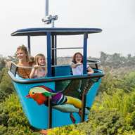 San Diego Zoo: Entry Ticket