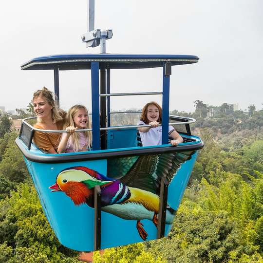 San Diego Zoo: Entry Ticket