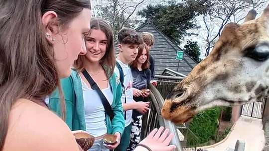 Nairobi: Guided Excursion To Karen Blixen Museum And Giraffe Centre., RM 176