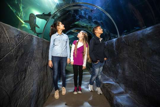 SEA LIFE Munich Aquarium Ticket, 4,323円