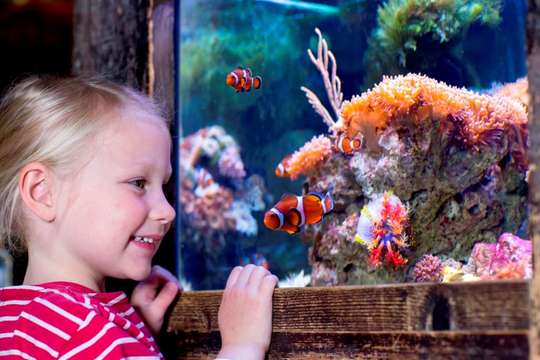 SEA LIFE Oberhausen Aquarium Ticket, Rp 395.442