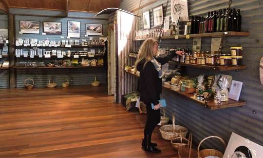 Kangaroo Island Full Day Tour from Adelaide including Lunch and Wine Tastings
