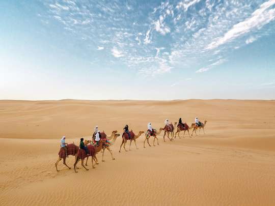 Dubai Desert Safari Tour, AU$309