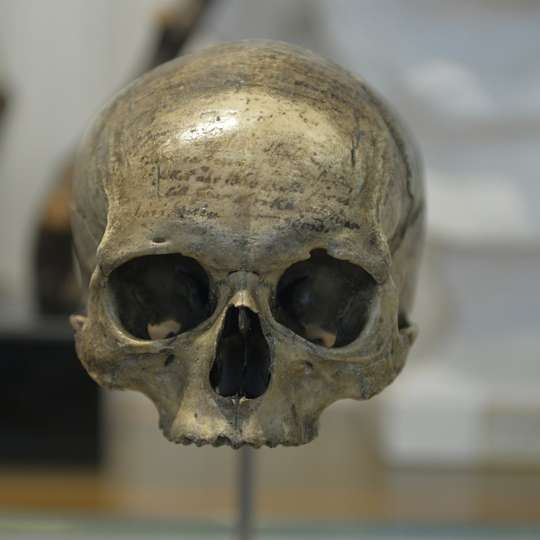 Musée de l’Homme: Skip The Line Ticket