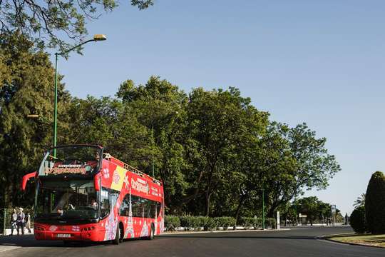 City Sightseeing Benalmadena Hop-on Hop-off Bus Tour, THB 757.49