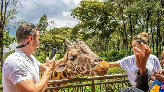 Mombasa: Guided Nature Walk Amongst Giraffes At Nguuni Sanctuary, RM 176