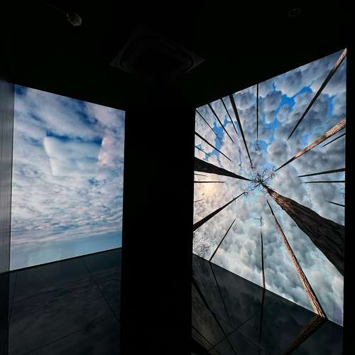 Moco Museum Amsterdam: Entry Ticket 3